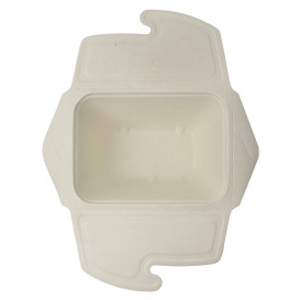 Pakket Suikerriet Box to Go 17x13x7cm 750ml. (100 stuks)