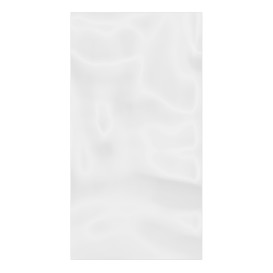 Plastic zak G100 12,5x25cm (1000 stuks)